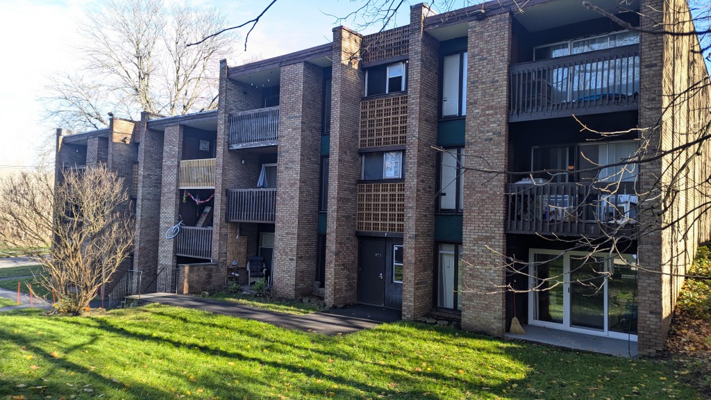 PXL_20241125_162156845